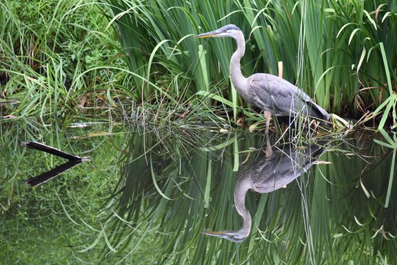 Goose Island State Park