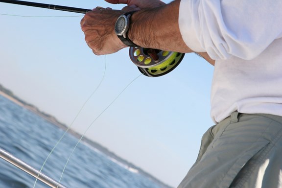Fly Fish Rockport