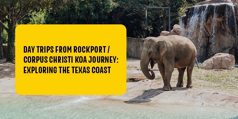 Day Trips From Rockport / Corpus Christi KOA Journey