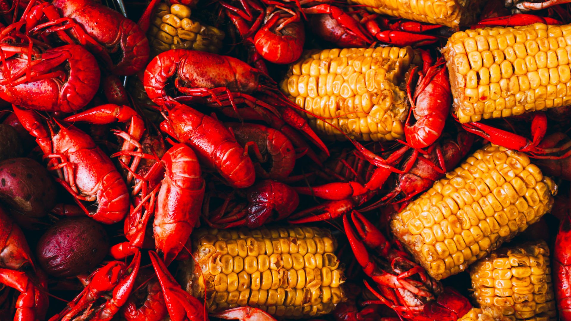T-Bud's Cajun Cuisine Food Truck Photo