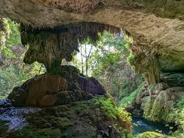 Westcave Outdoor Discovery Center