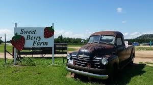 Sweet Berry Farms