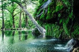 Krause Springs