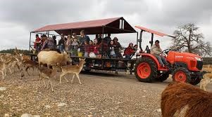 The Exotic Resort Zoo