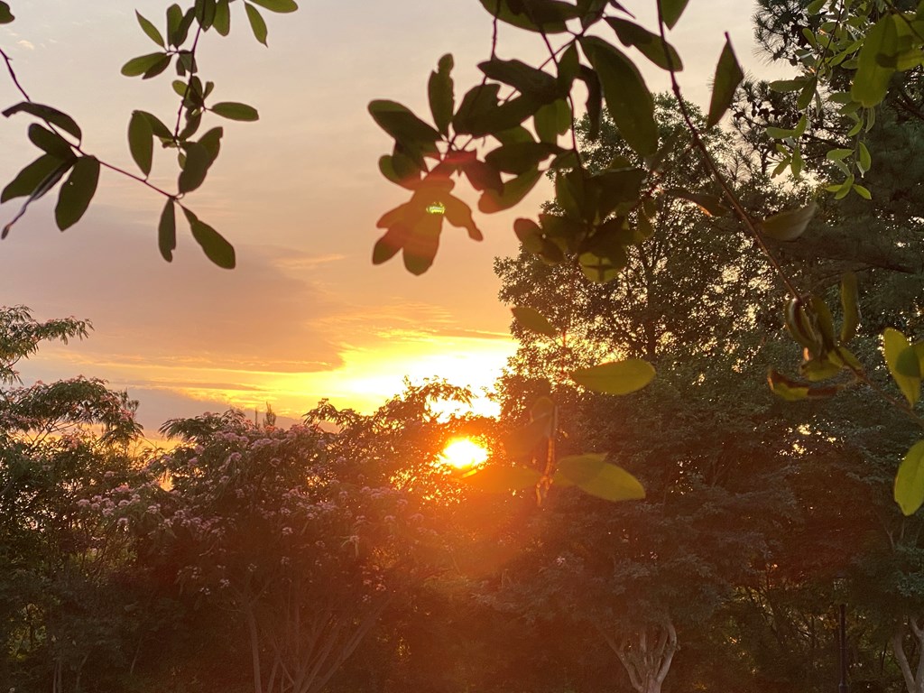 East Texas: Big Skies, Big Sunsets