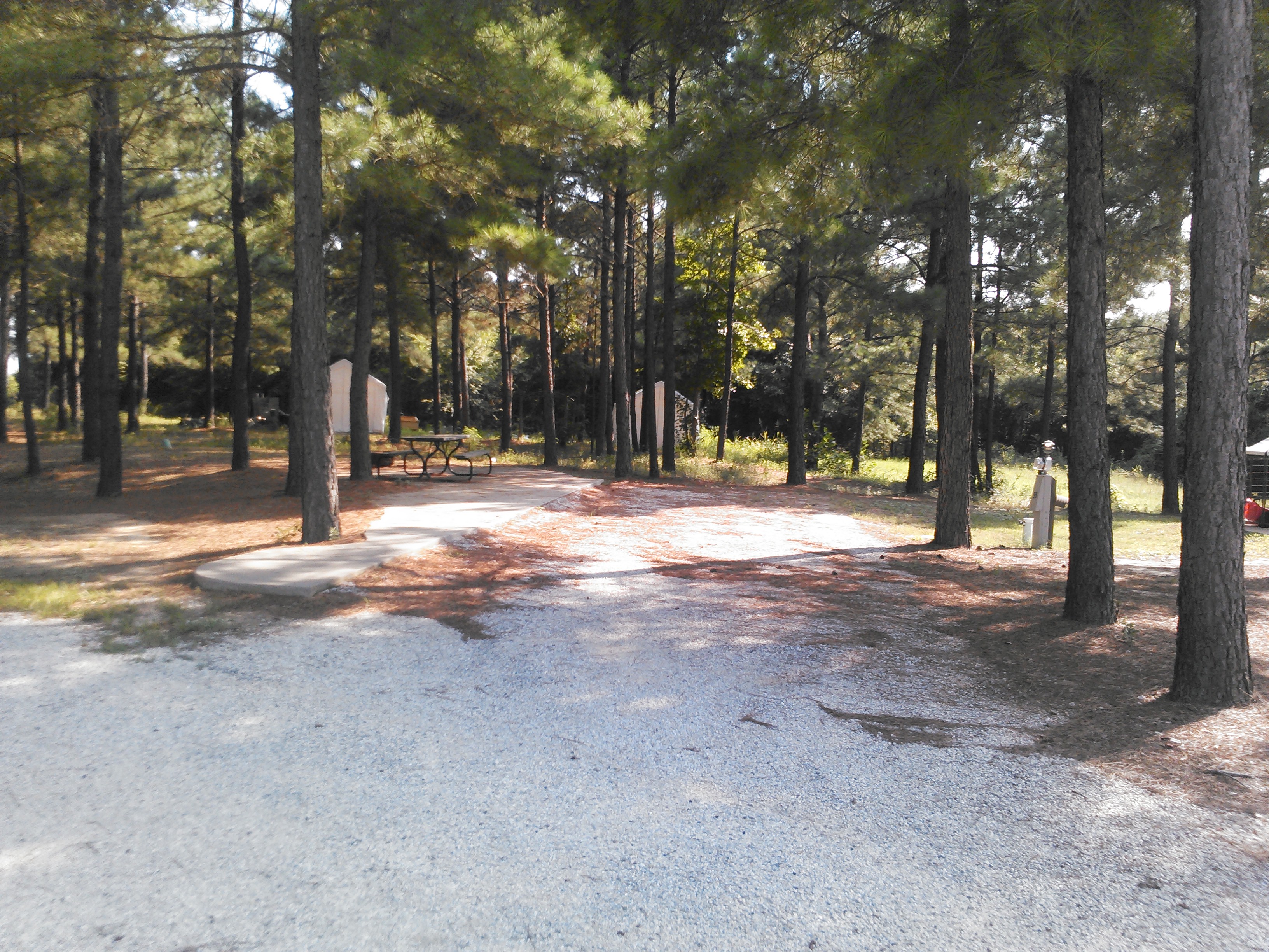 Back-in Patio Site