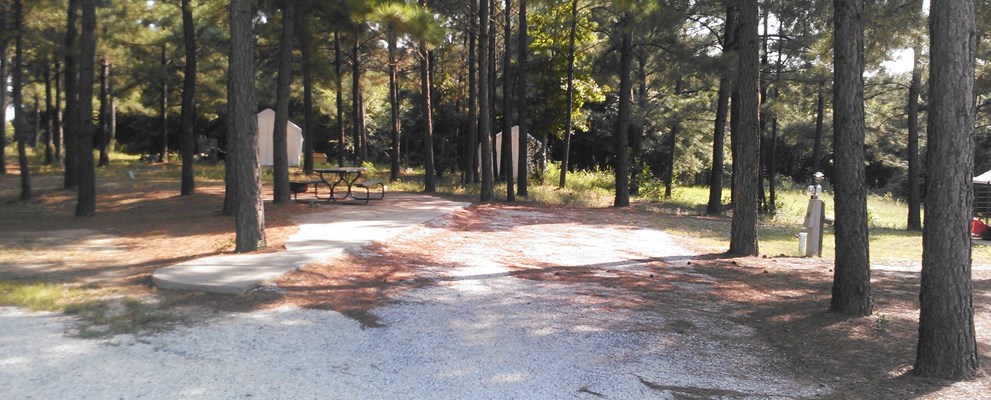 Back-in Patio Site