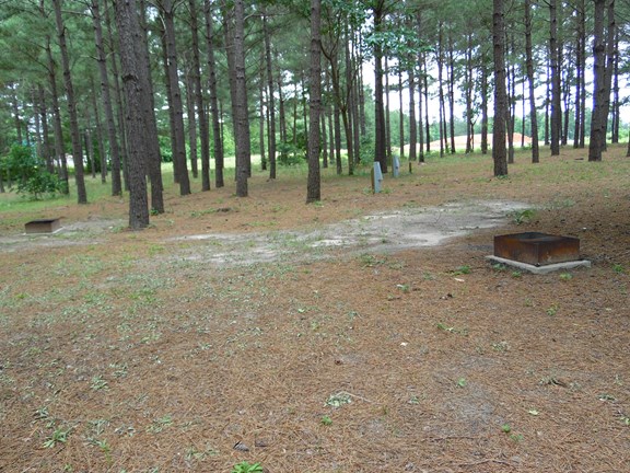 Tent Site w/Electric