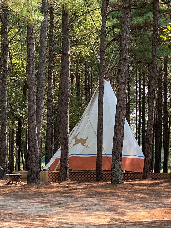 Welcome to the Rusk KOA
