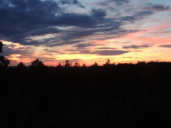 Beautiful Sunset