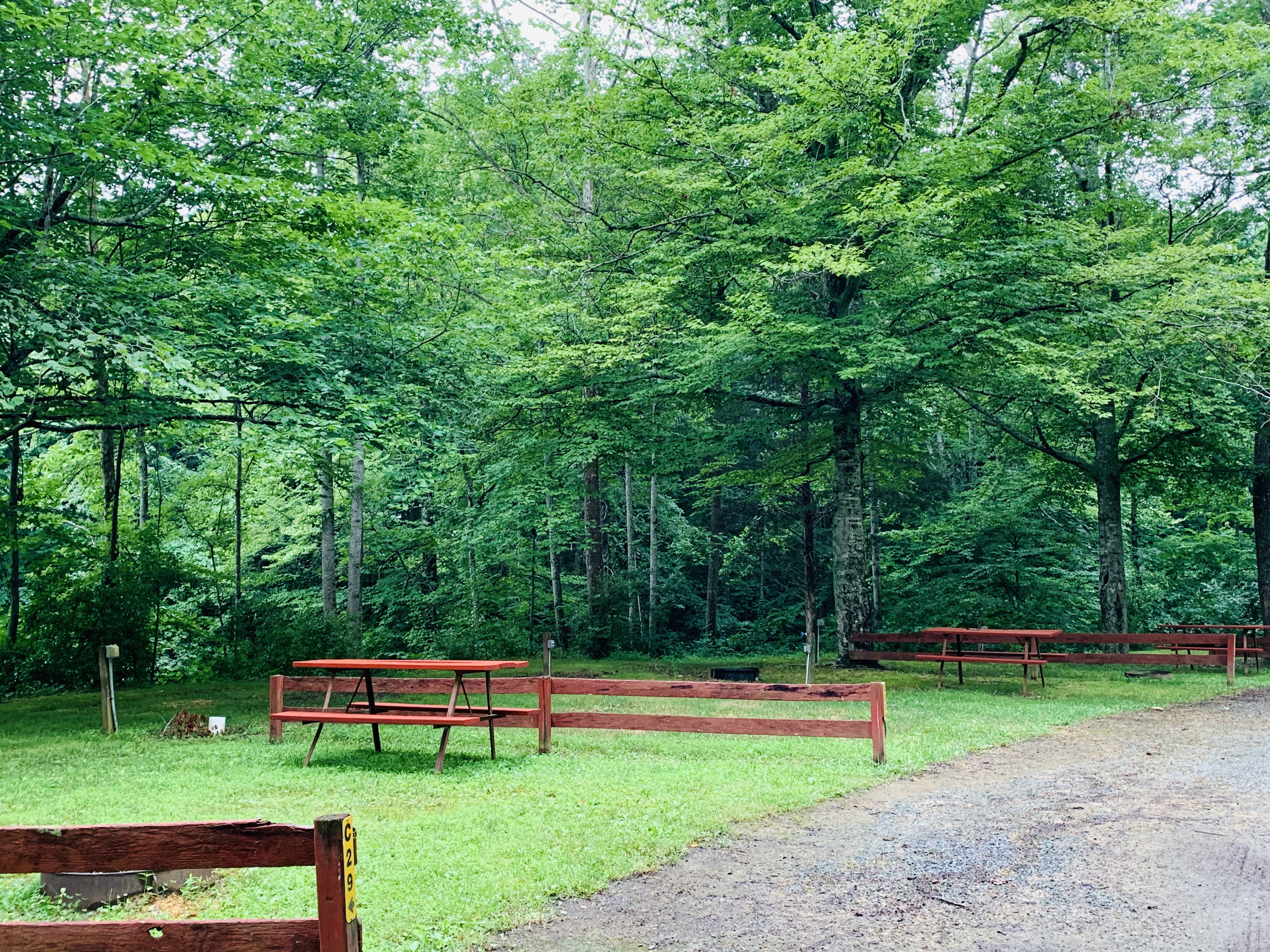 Tent Site
