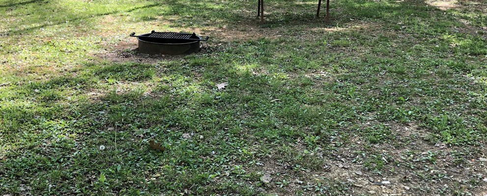 Tent Site with Grill