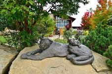 Akron Childrens  Zoo
