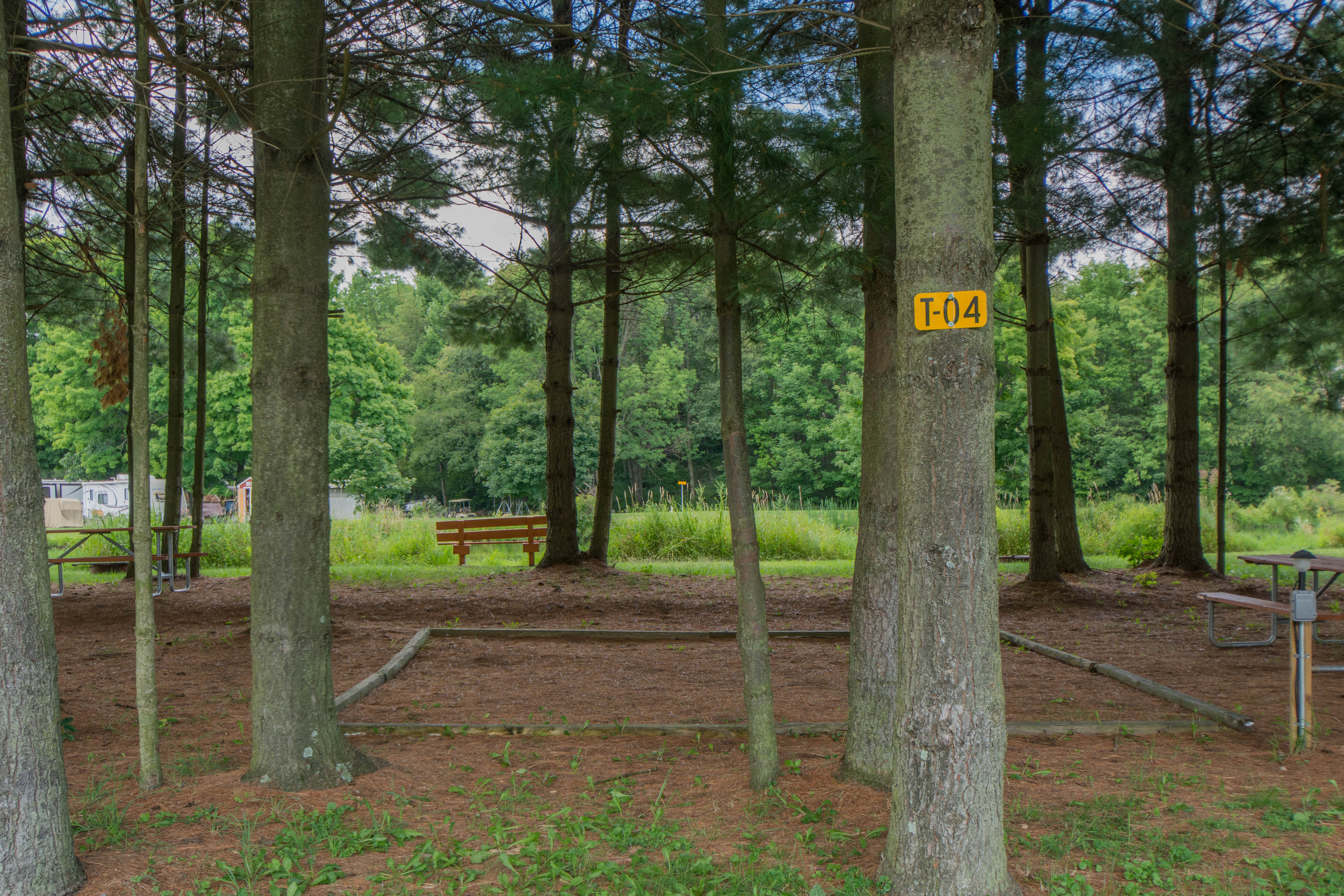 Tent Site