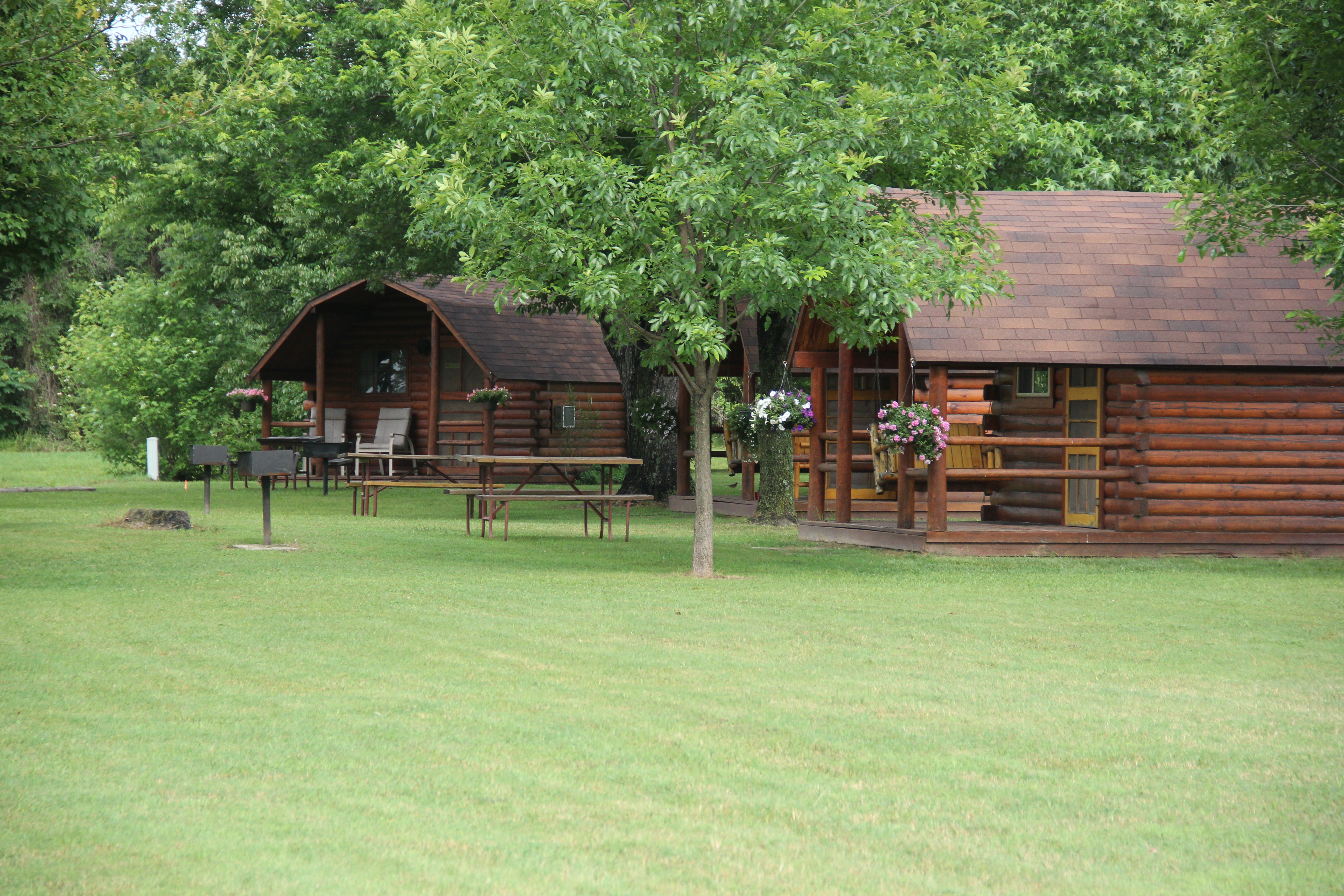 Gorgeous Cabins!
