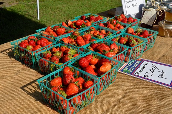 McKenzie's Farm