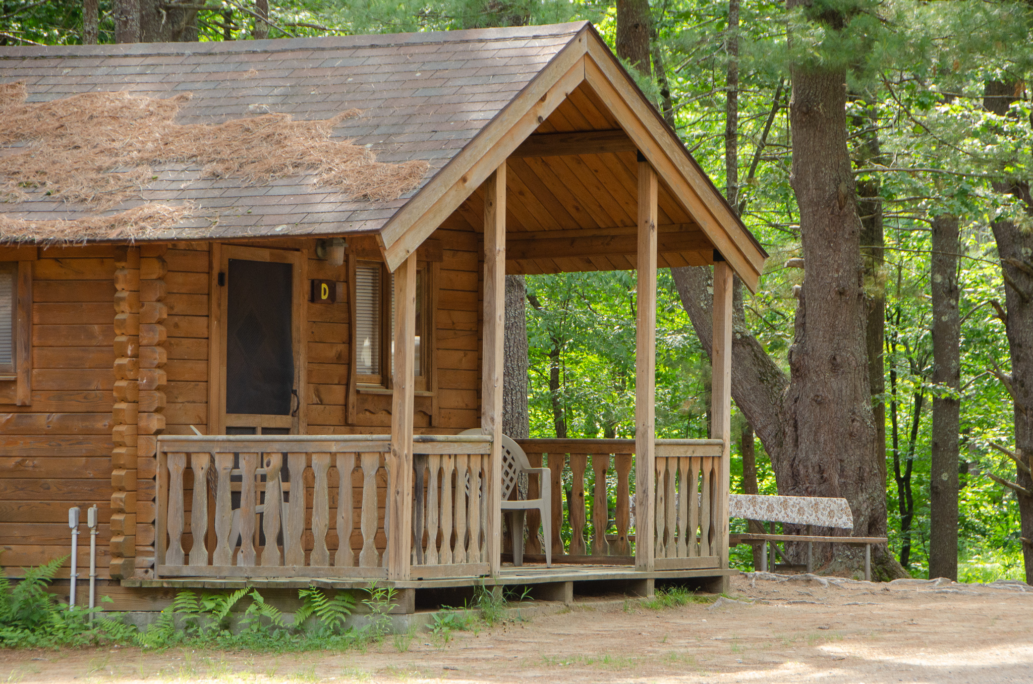 Rustic Cabin
