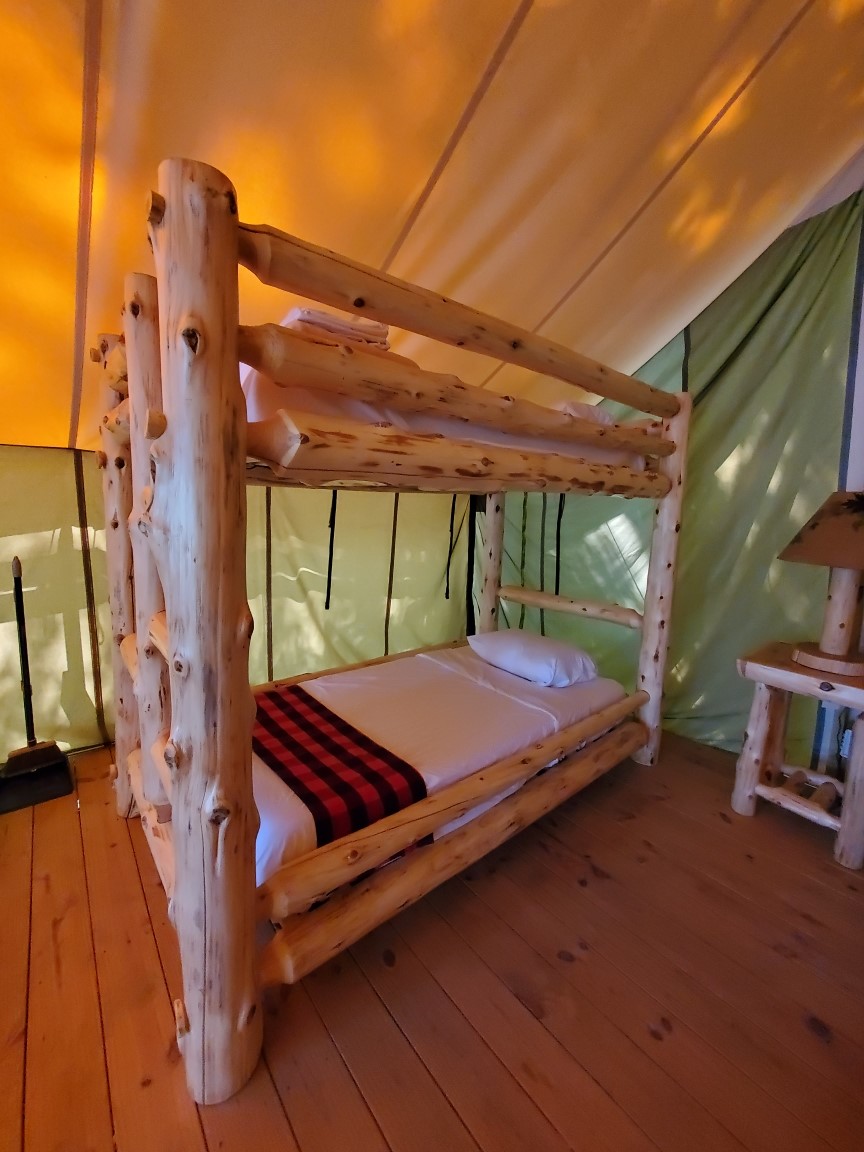 Safari Bunk Beds