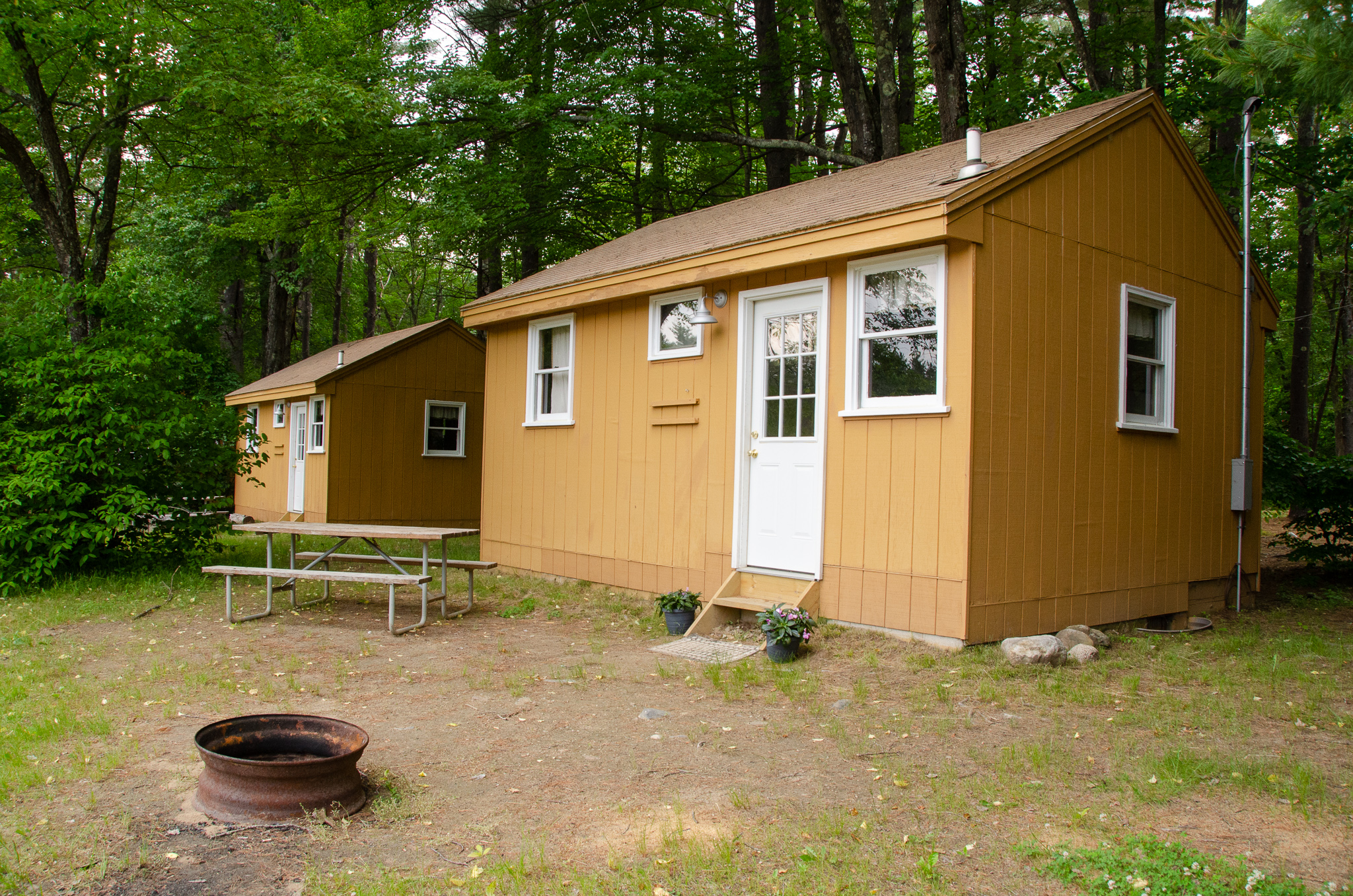 Northern Cabin