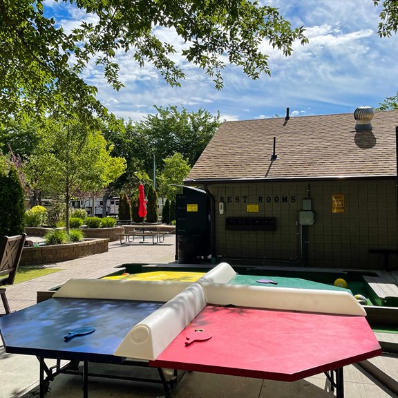 Poly-Pong