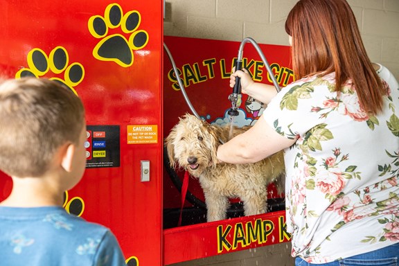 Wash your Pet at the Kamp K9 Petwash