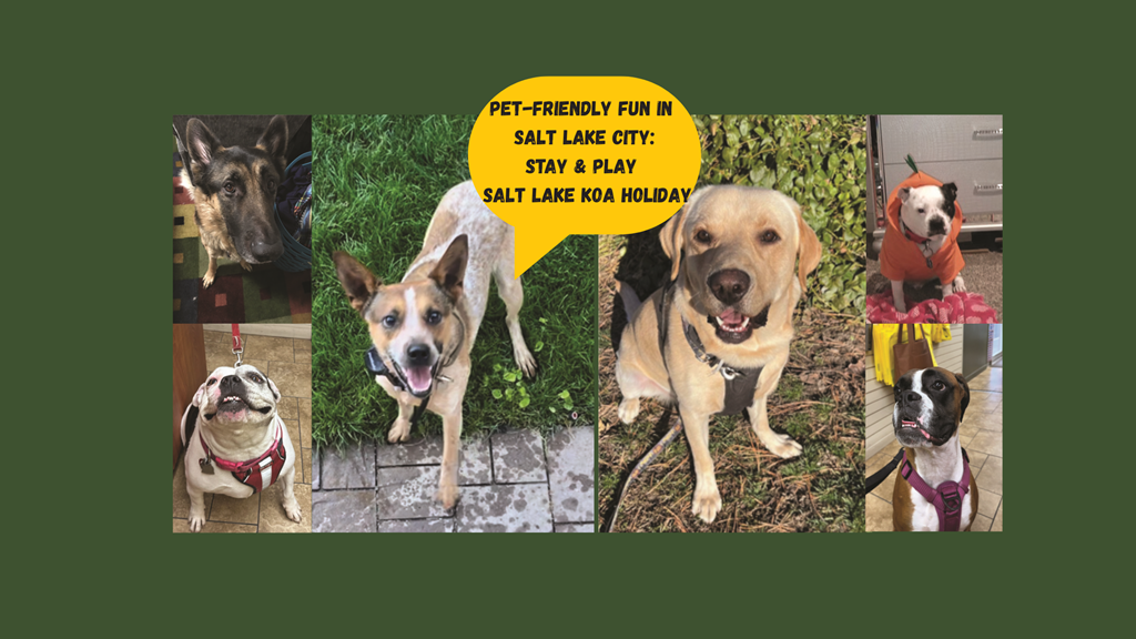 Pet Friendly Adventures in Salt Lake City