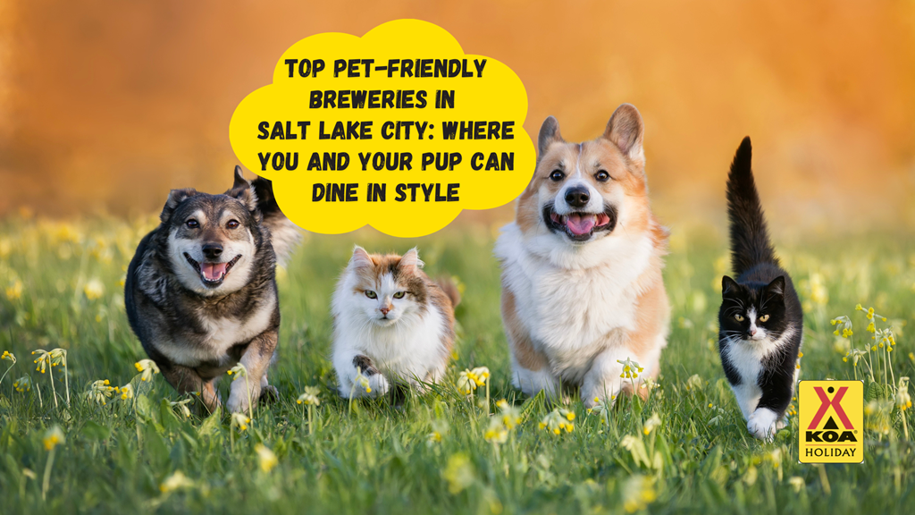 Pet-Friendly Breweries in Salt Lake City