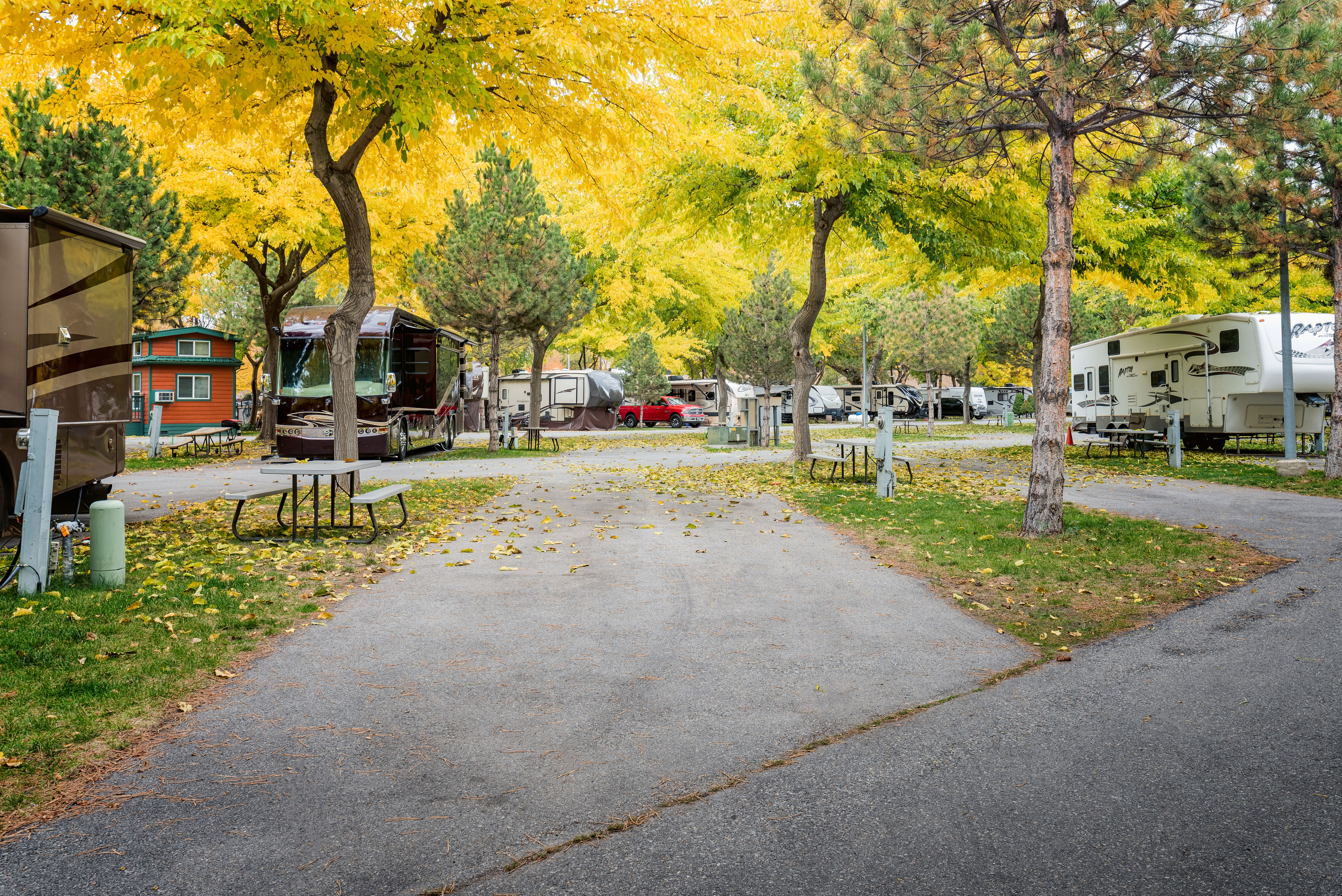Beautiful Fall Colors