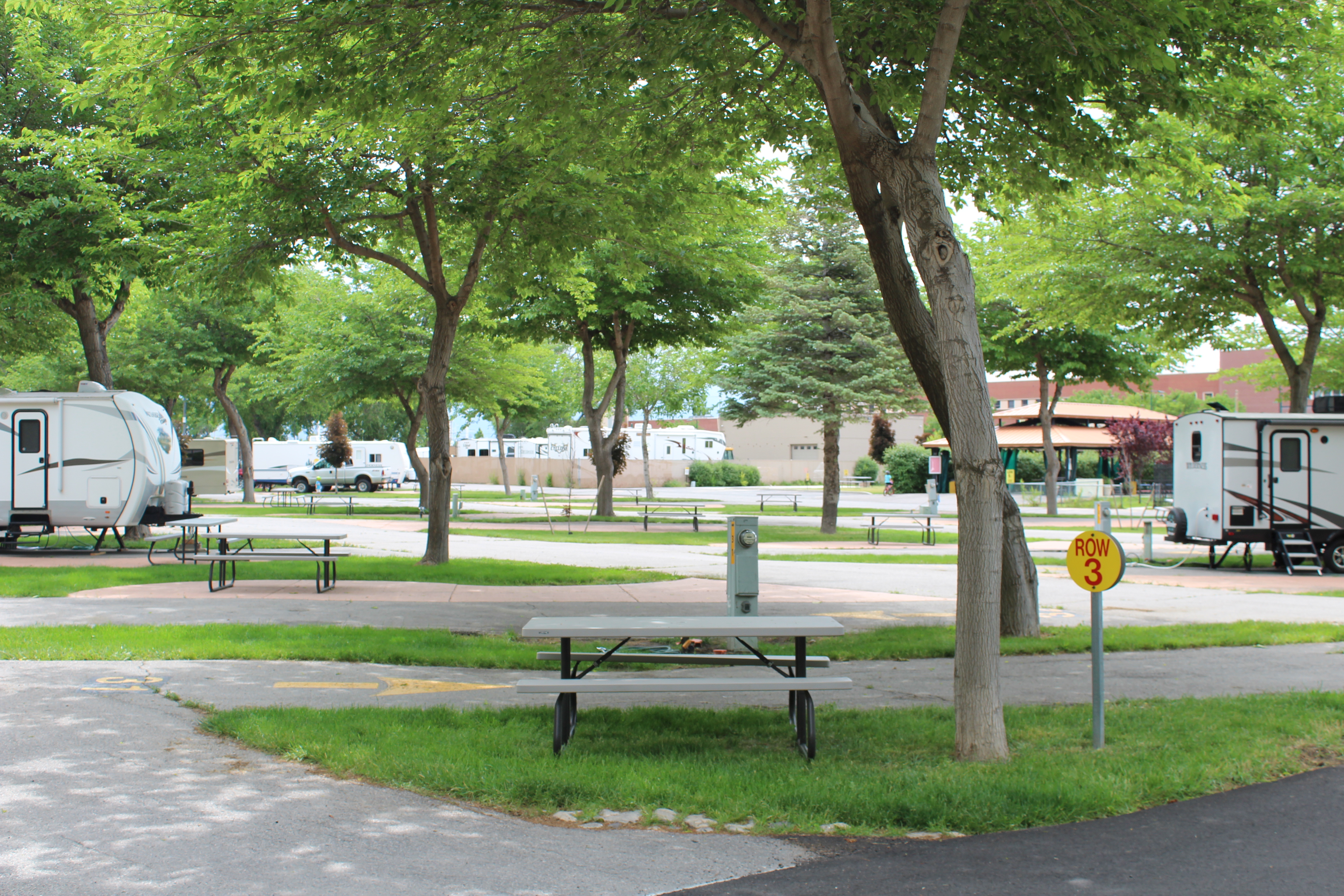 Green Grass and Lots of Shade