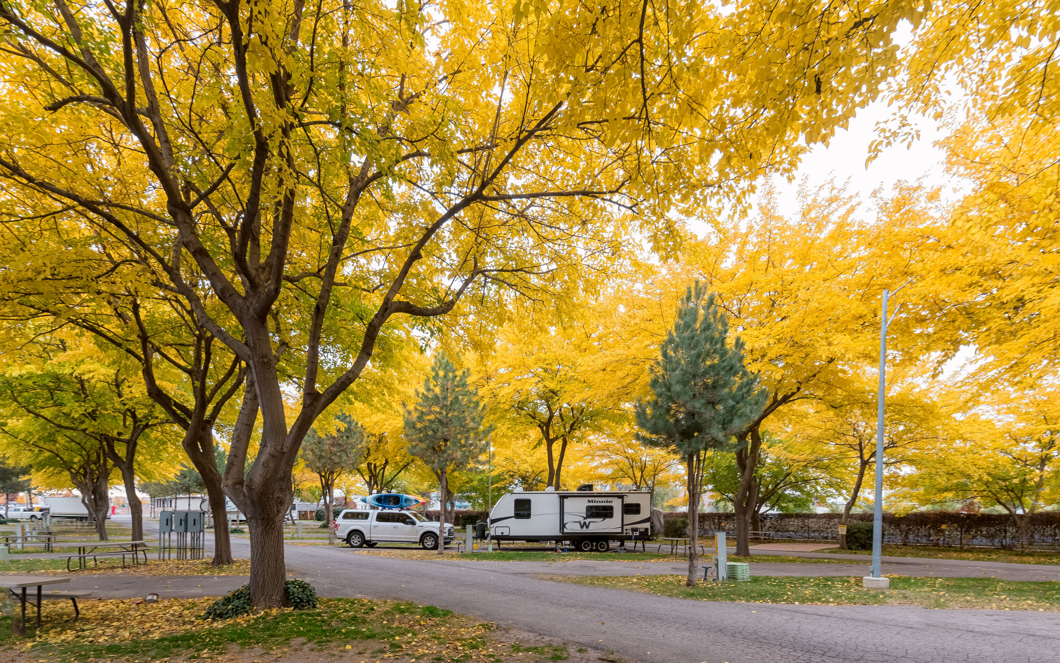 Beautiful Fall Colors