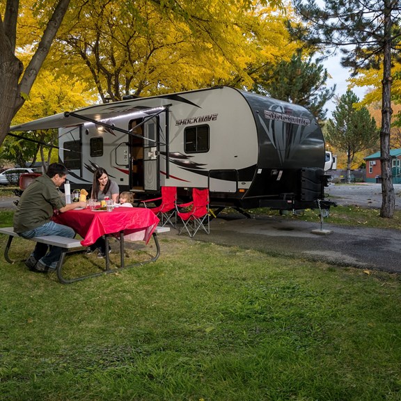 Spacious Shaded Camp Sites