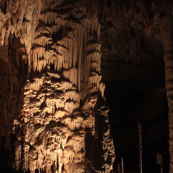 Natural Bridge Caverns