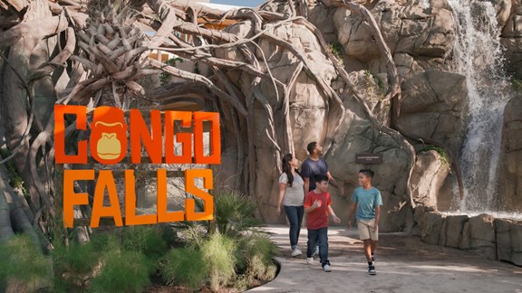 Congo Falls at the San Antonio Zoo: An Unforgettable Adventure!