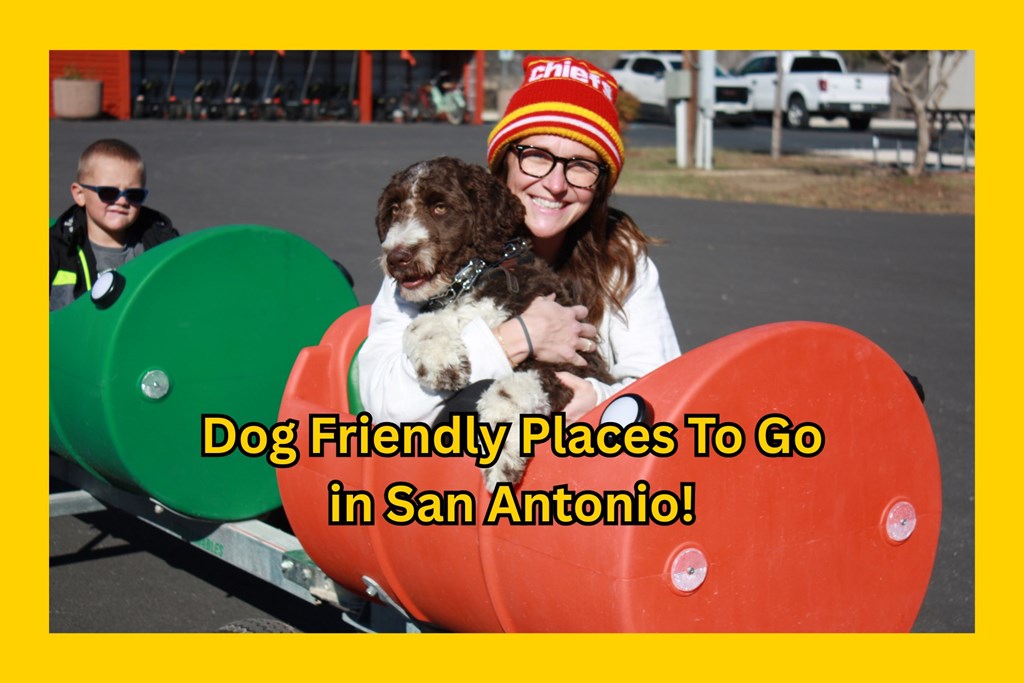 Paws & Pathways: The Dog-Friendly Guide to San Antonio