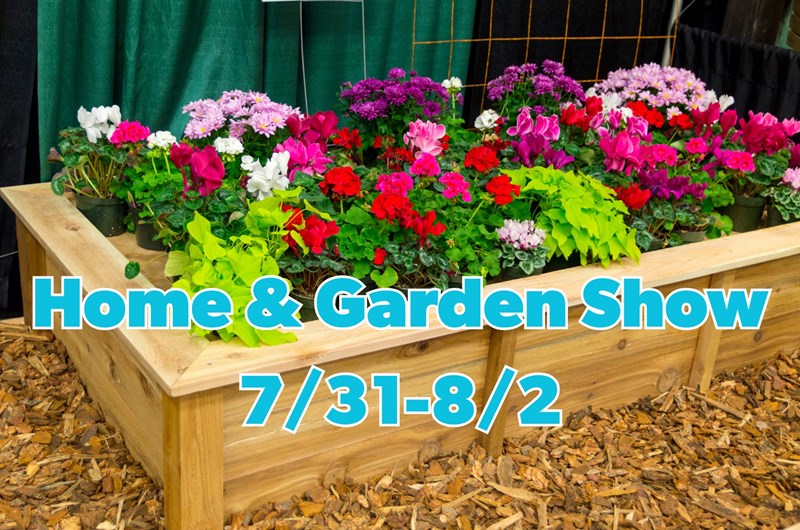 The San Antonio Fall Home + Garden Show Photo