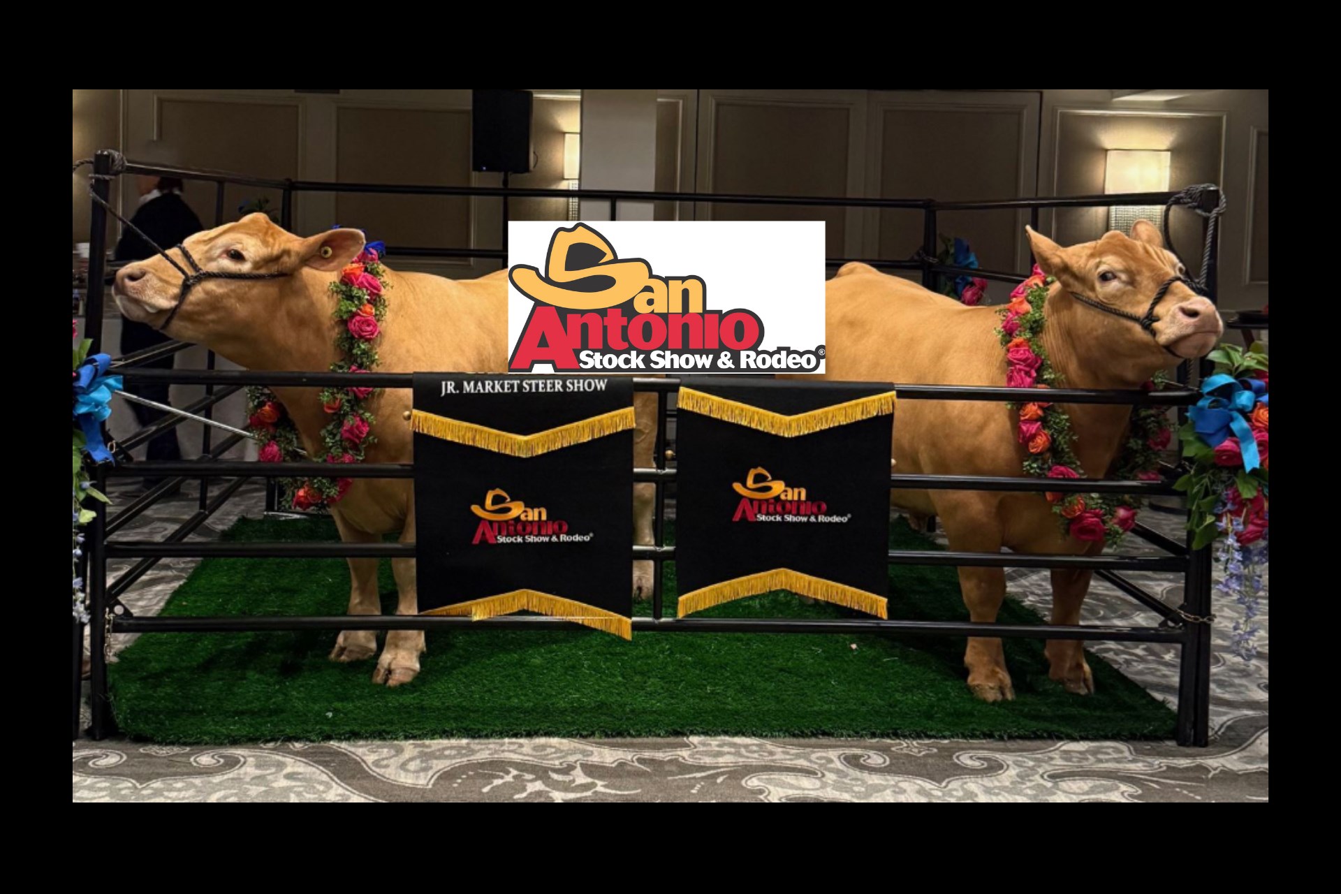 Stay Near the 2027 San Antonio Stock Show & Rodeo Photo