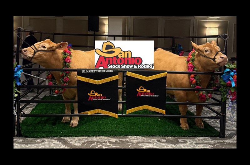 Stay Near the 2027 San Antonio Stock Show & Rodeo Photo
