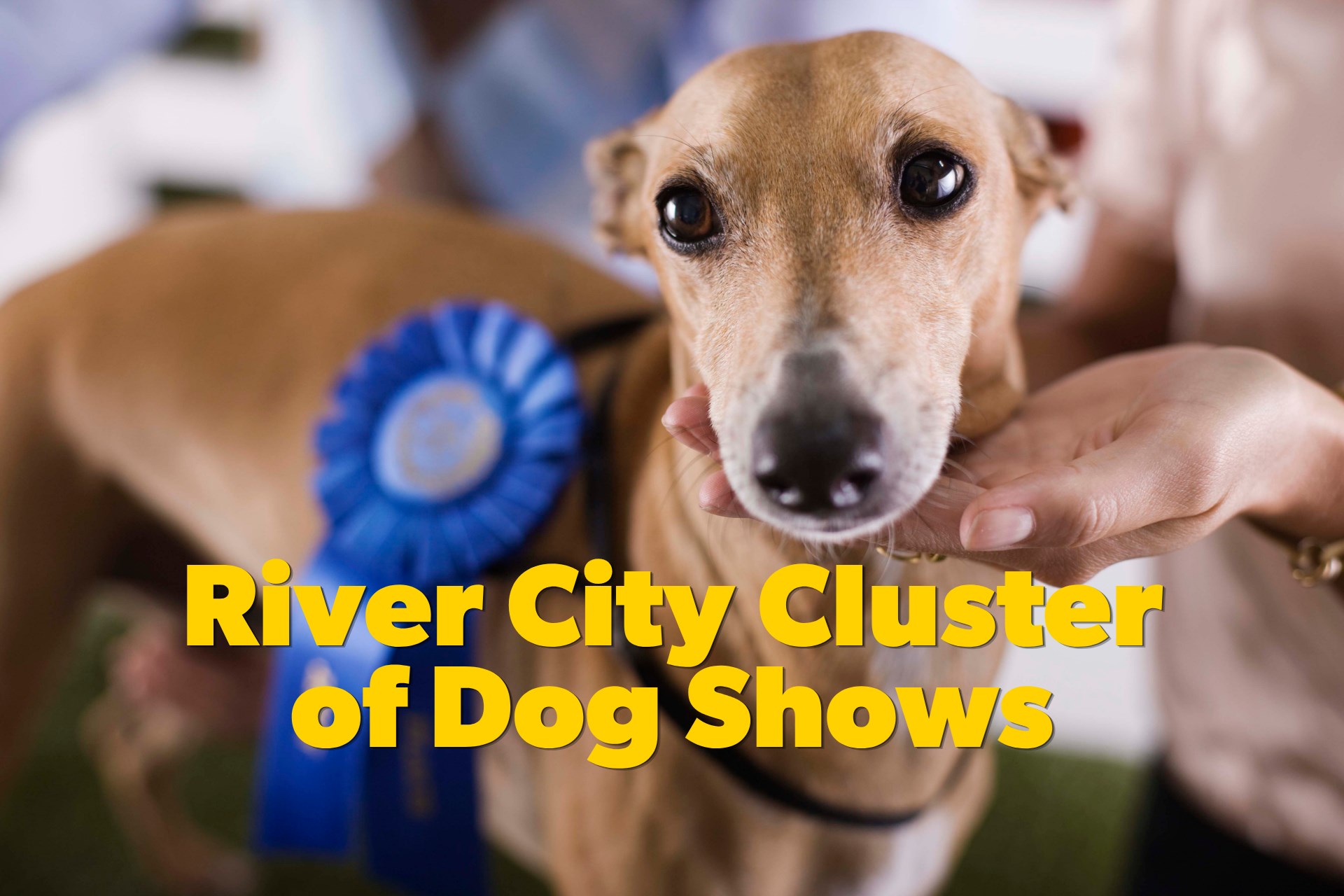 River City Cluster of Dog Shows Returns to San Antonio Photo