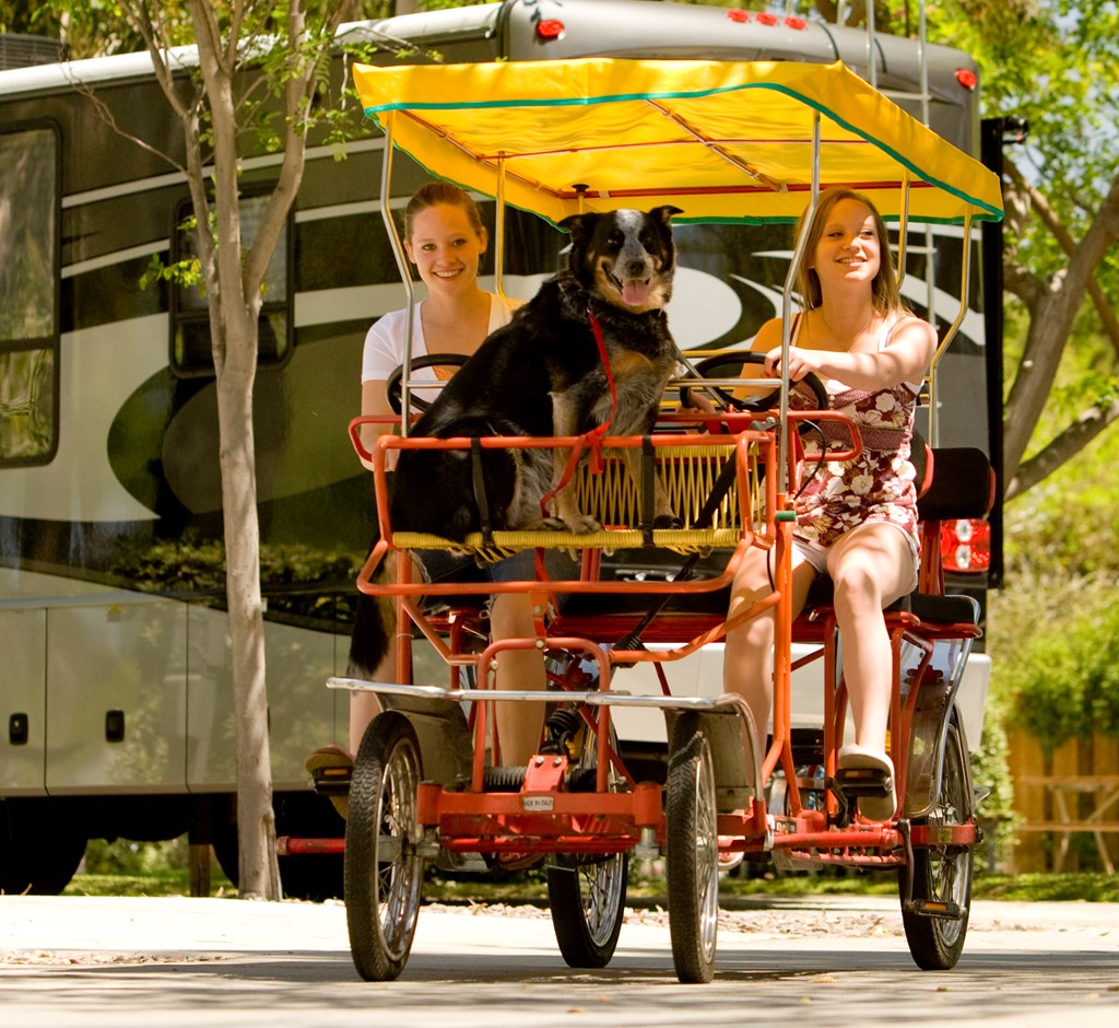 Traveling with Fido