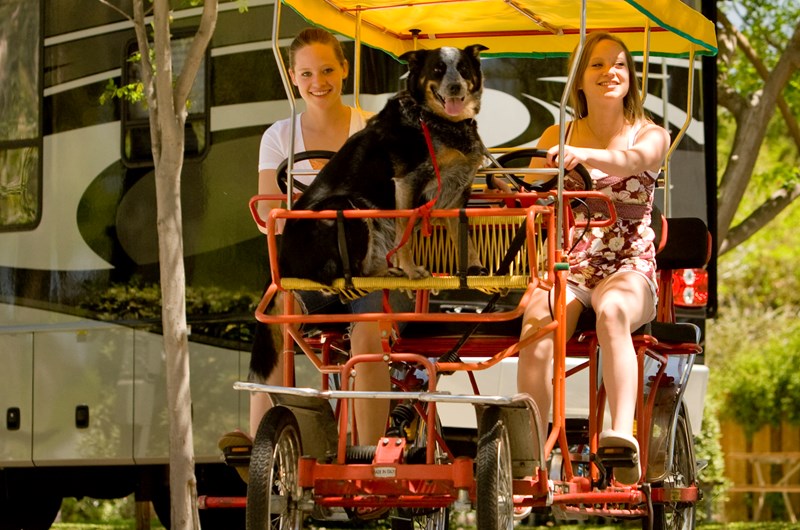 Activities for August 27-30, 2026 Photo