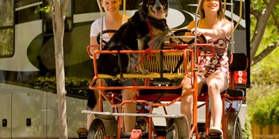 Activities for August 27-30, 2026