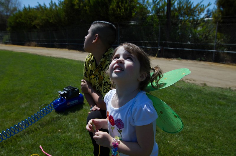 Fall Festival 5 * October 15-18, 2026 Photo