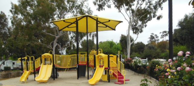 Activities for June 15-21, 2026 Photo