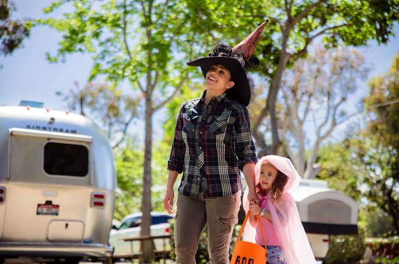 Fall Festival 7 * October 29- November 1, 2026 Photo