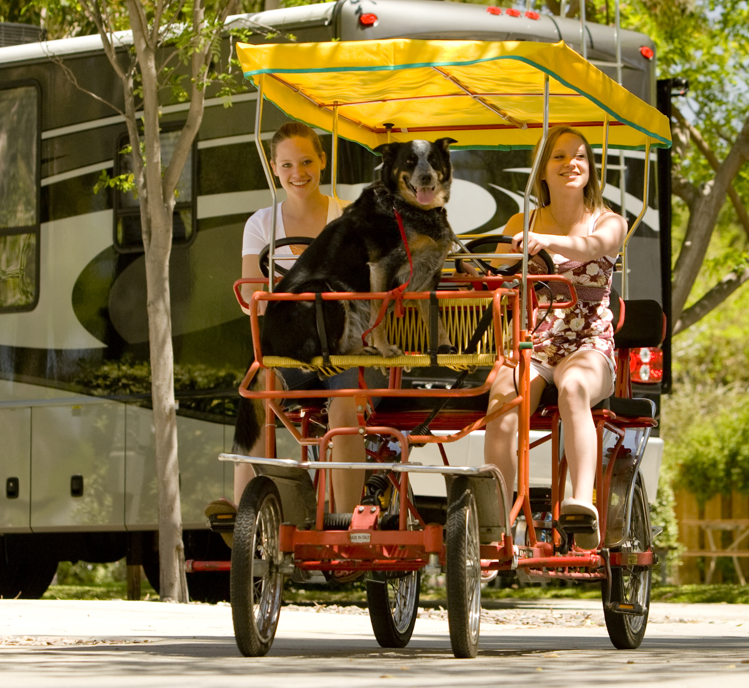 Activities for July 20-26, 2026 Photo