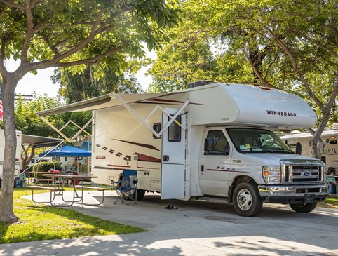 August $39/night in a Back In RV Site Photo
