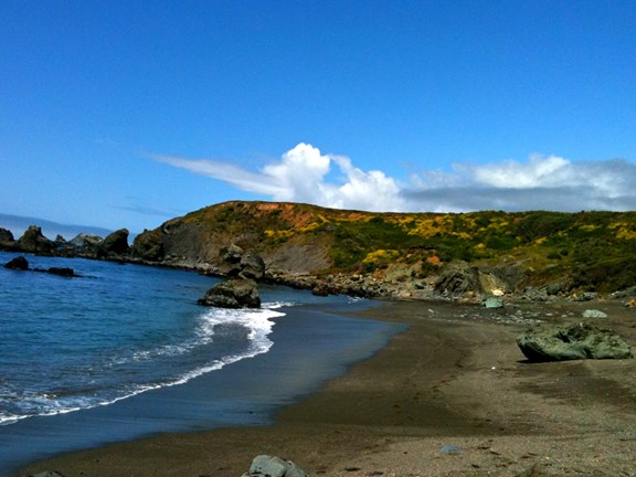 Bodega Head