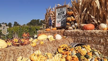 Fun October Activities in Petaluma and Sonoma County