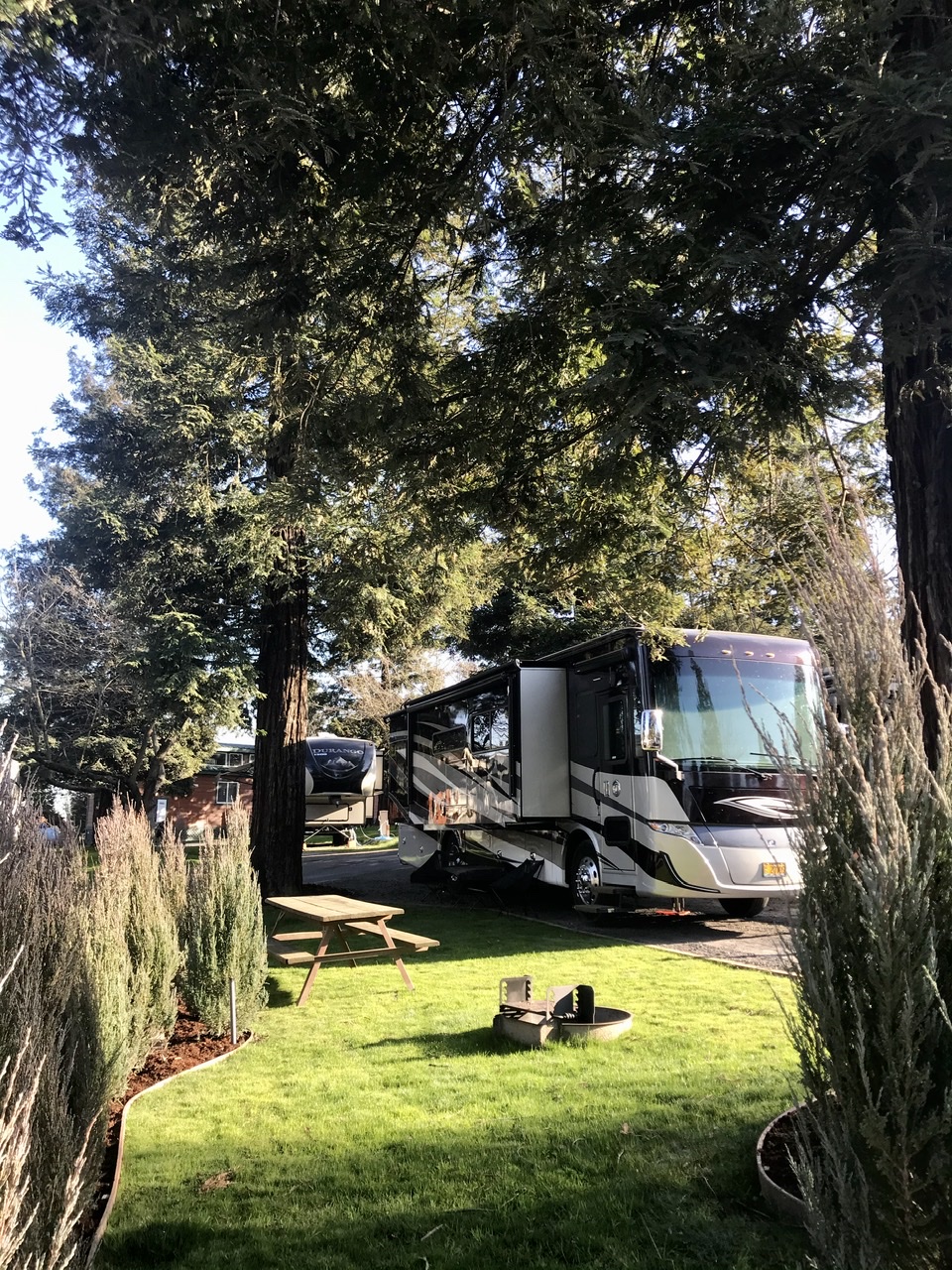 These 50 amp pull thru sites have large grass area, picnic table and fire pit for making memories.