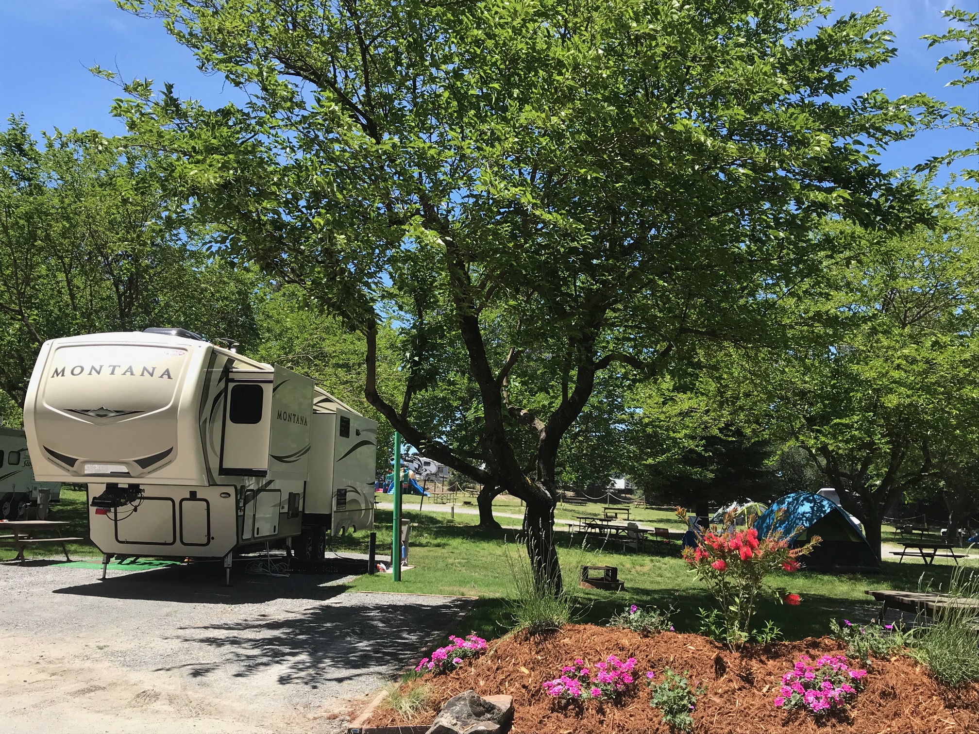 New 50amp back in rv sites are convenient to the pool area and located in the Redwood Grove Area